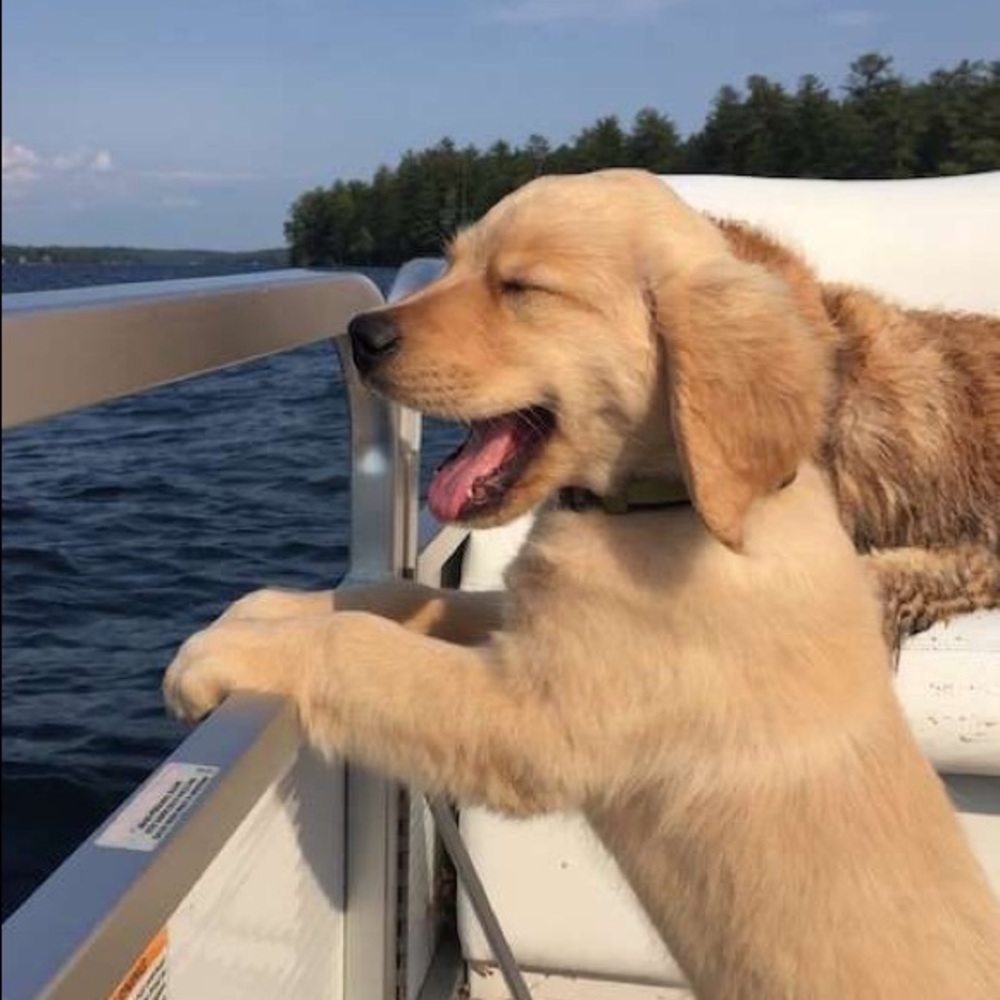 Meet your Posher, Jamie